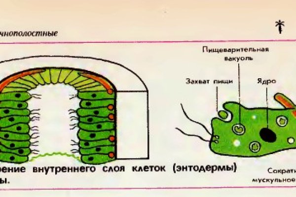 Официальный сайт кракен тор