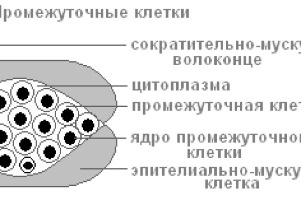 Кракен шоп зеркало