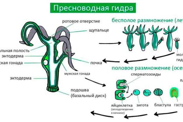 Kra38.at