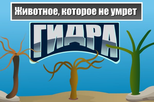 Кракен зеркало