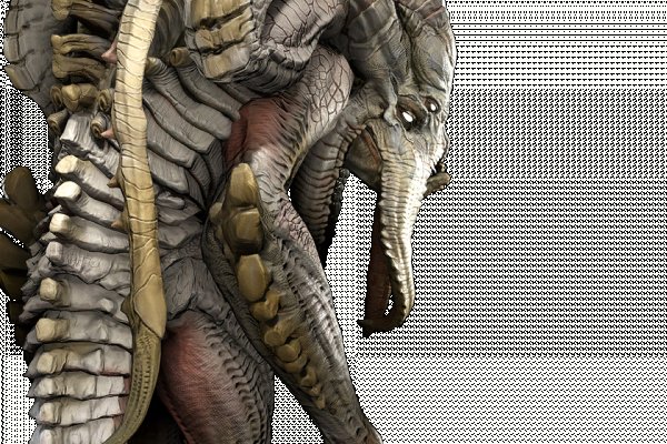 Kraken 14at