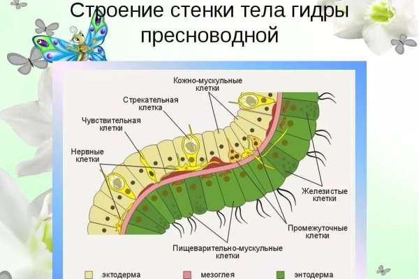 Кракен маркетплейс vk2 top