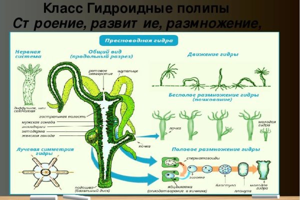 Украли аккаунт на кракене что делать