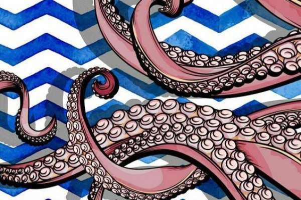Kraken 12 at
