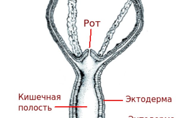 Kraken onion ссылка