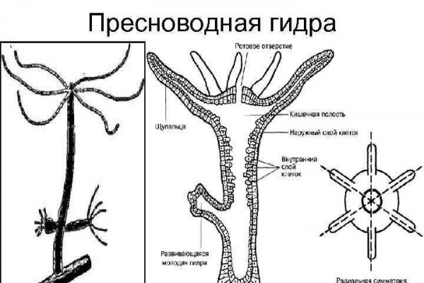 Кракен маркет дарнет только через тор