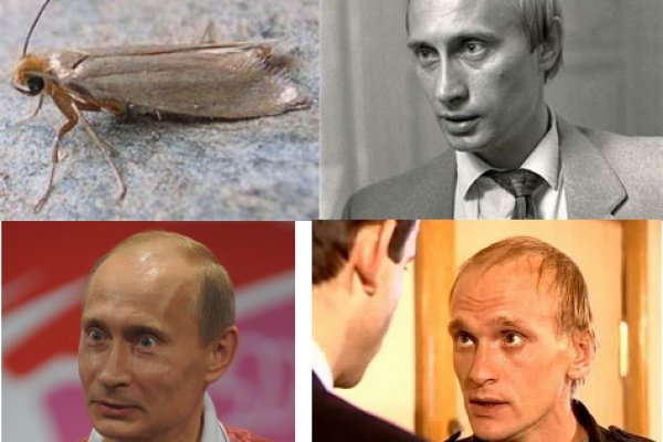 Официальный сайт даркнета