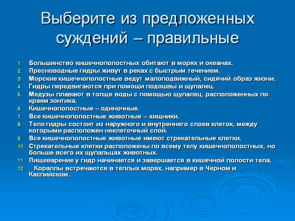 Какой нужен тор чтоб зайти в кракен